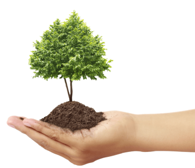 mano-arbol