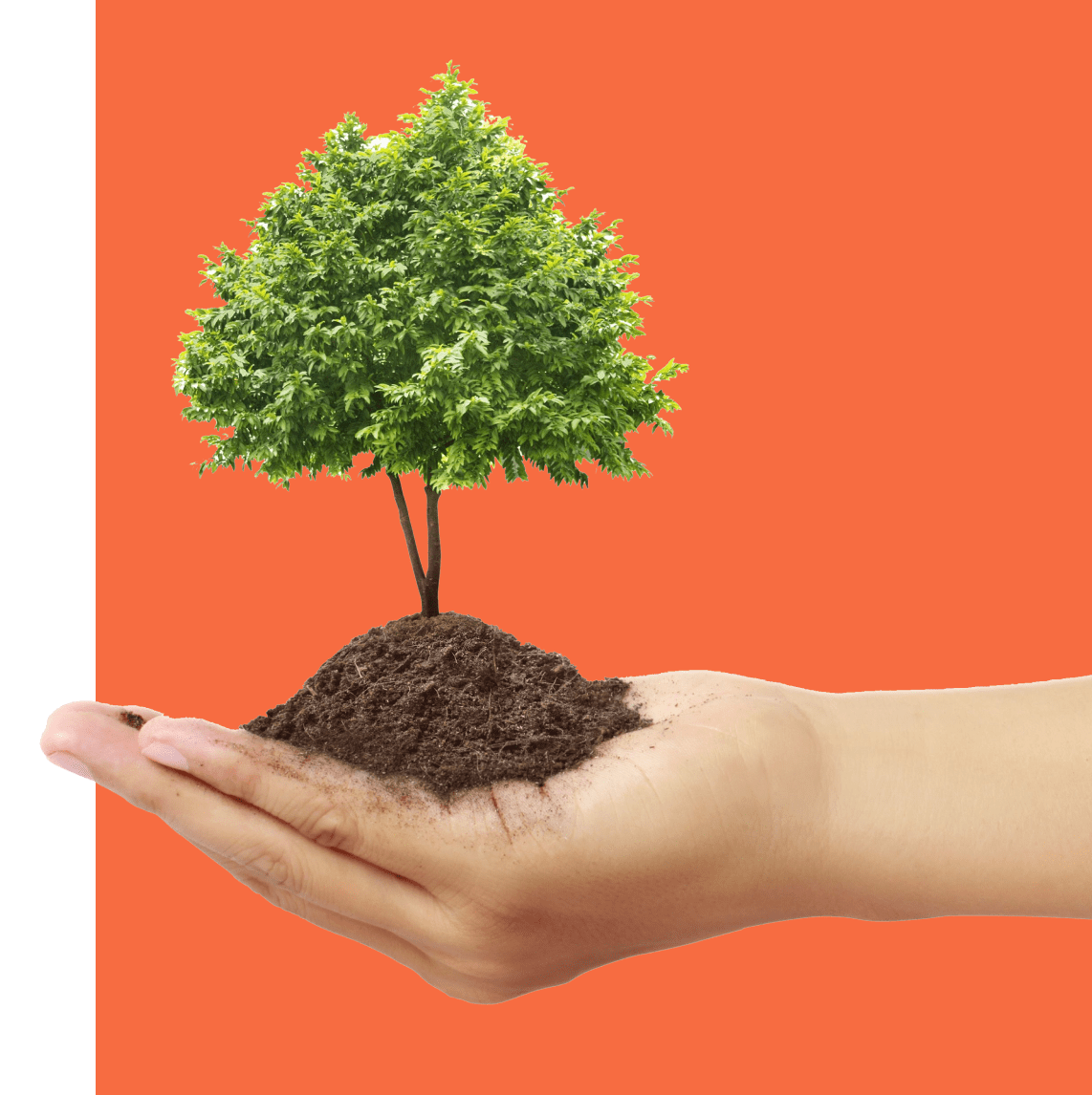img-sustentabilidad